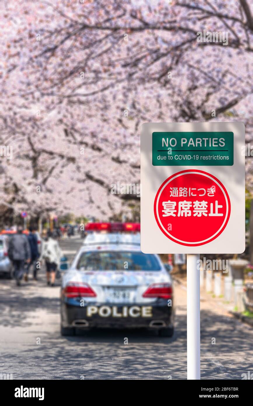 Japanese and english road sign prohibiting gatherings for picnics under cherry trees due to COVID-19 restrictions with a patrolling police car in Japa Stock Photo