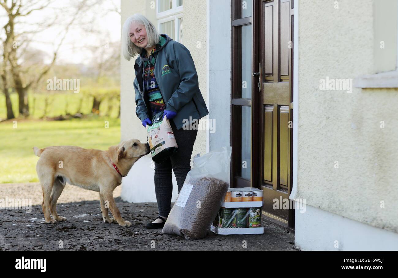 Heather McMurray of the 7th Heaven Animal rescue trust in Co Antrim who is operating an animal food bank during the Coronavirus Crisis. Stock Photo