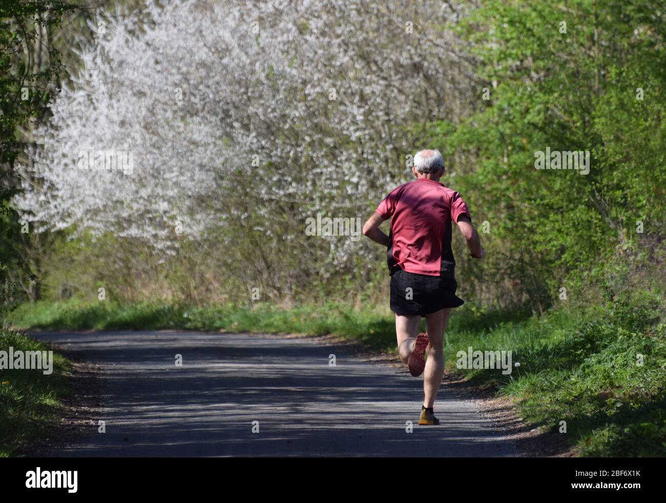 A fit and active elderly man aged over 70 going for a run Stock Photo