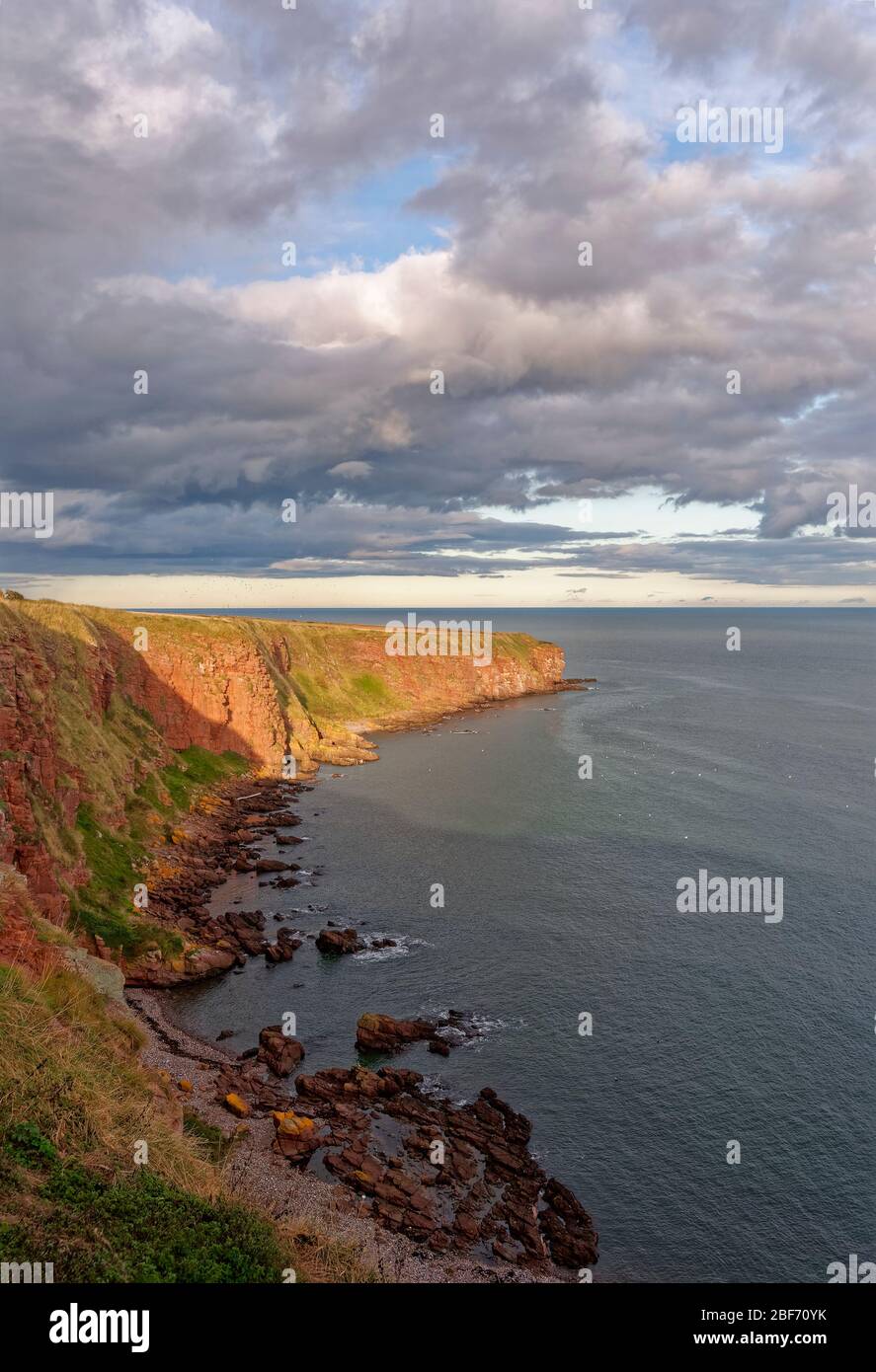 Looking across the shingle and Rocky beach of Carlingheugh Bay towards the headland before the Fishing Village of Auchmithie. Stock Photo