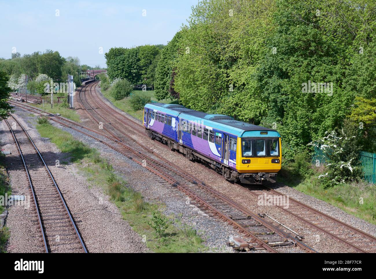 Northern trains class 142 031 heads through Lostock Hall with a service to Colne Stock Photo
