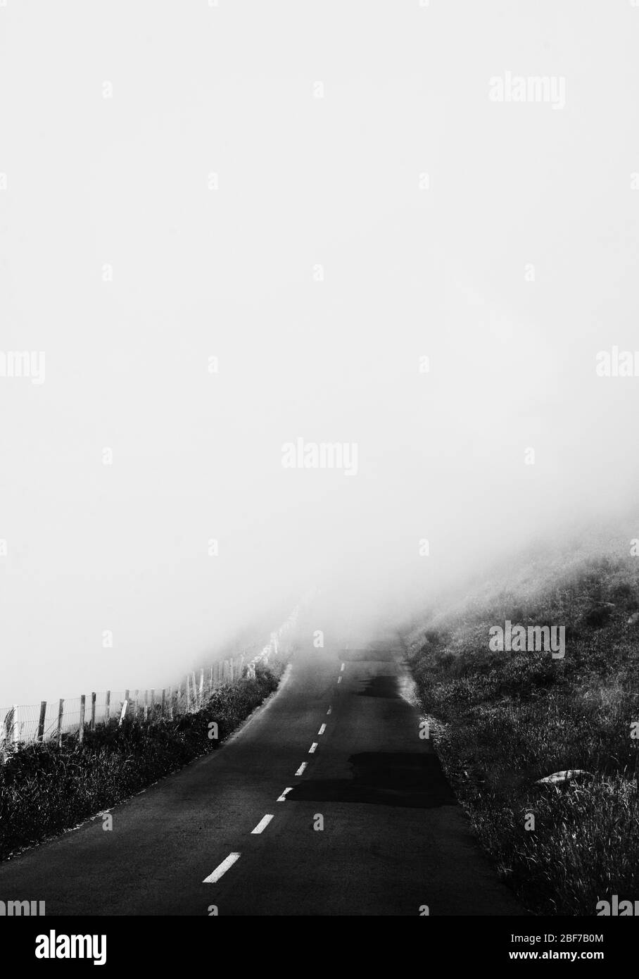 Empty rural road on a foggy day Stock Photo