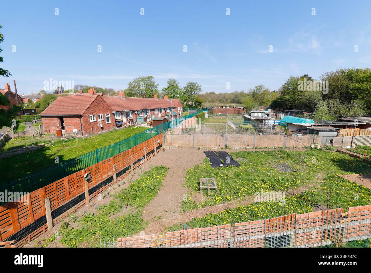 An allotment in Swillington, is located to the rear of Preston View Stock Photo