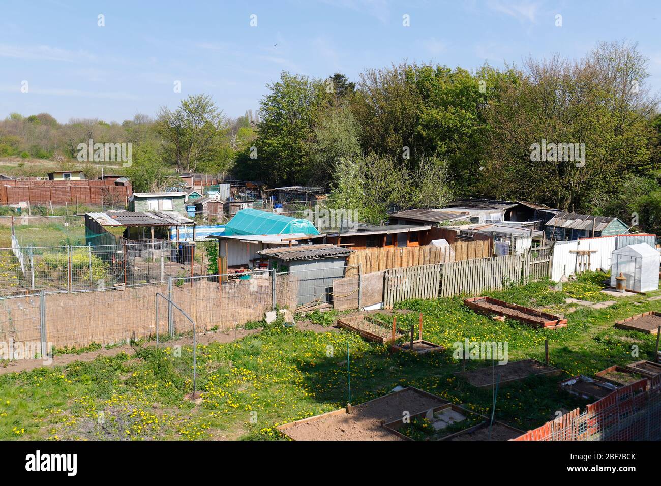 An allotment in Swillington, is located to the rear of Preston View
