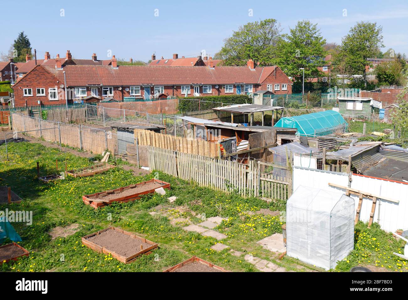 An allotment in Swillington, is located to the rear of Preston View