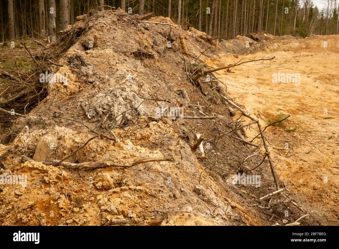 Road construction through woods, nature destruction Stock Photo