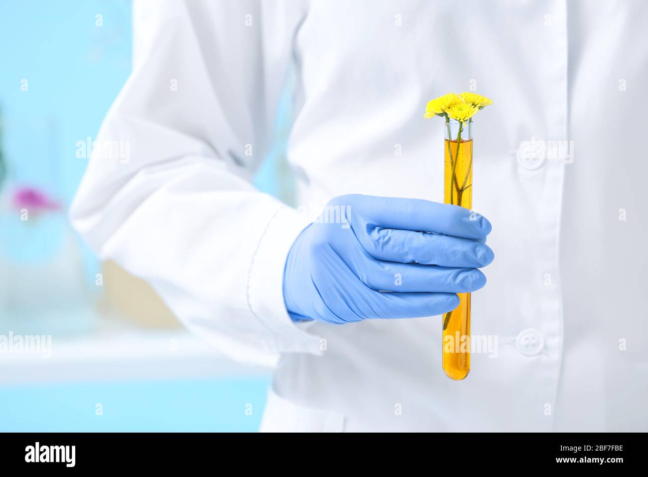 Scientist with sample of flowers in laboratory Stock Photo Alamy