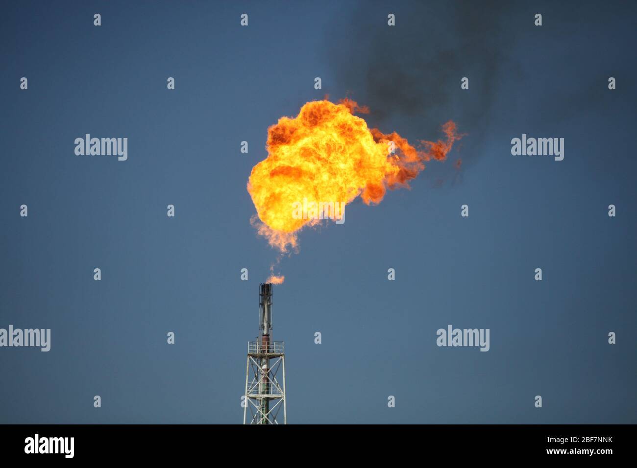 Burning orange nature gas torch. Strong flame. On oil refinery plant on deep blue sky. Stock Photo