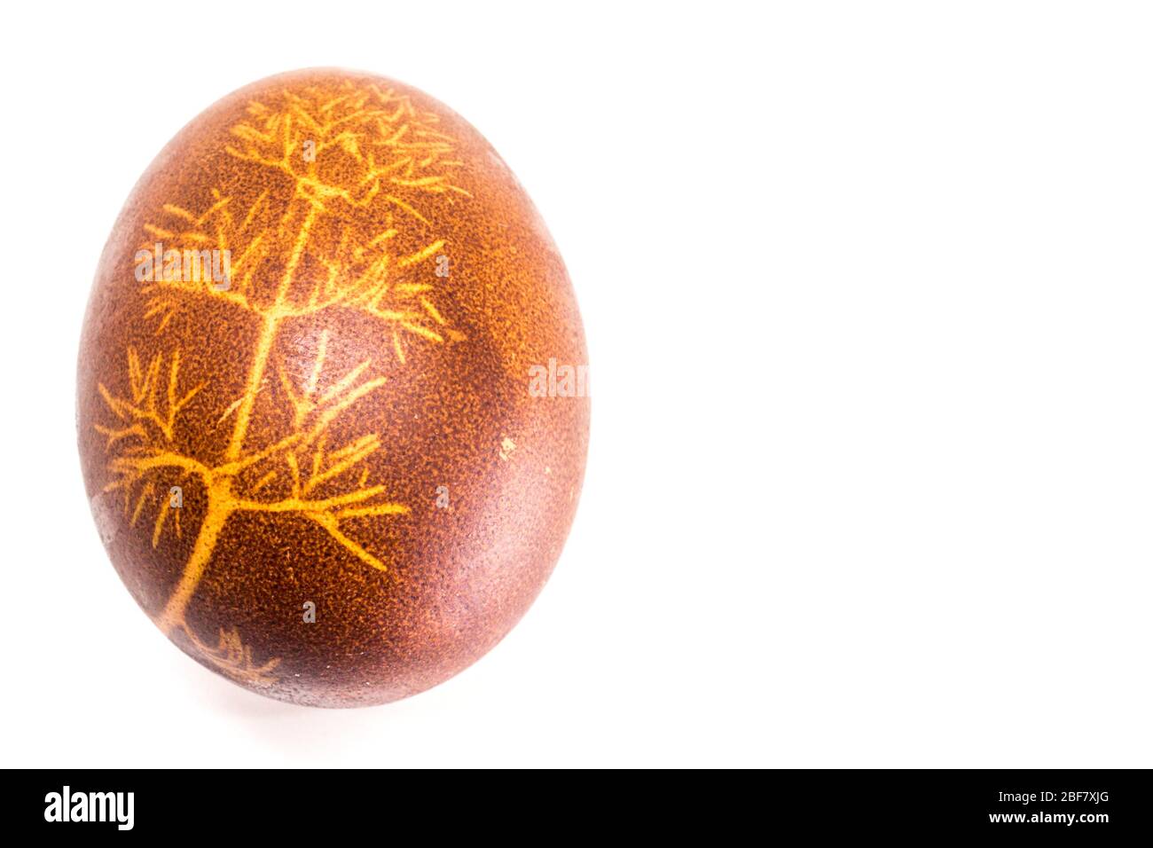 Traditional way of easter egg dyeing. Negative of small plant leaves on egg shell dyed with red onion, Hungary. Stock Photo