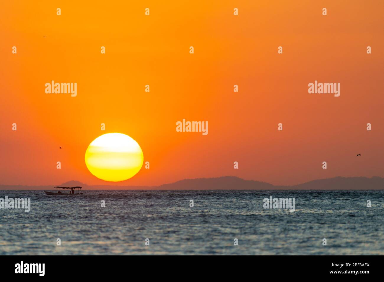 Rio Tarcoles, Costa Rica, Centroamerica Stock Photo - Alamy