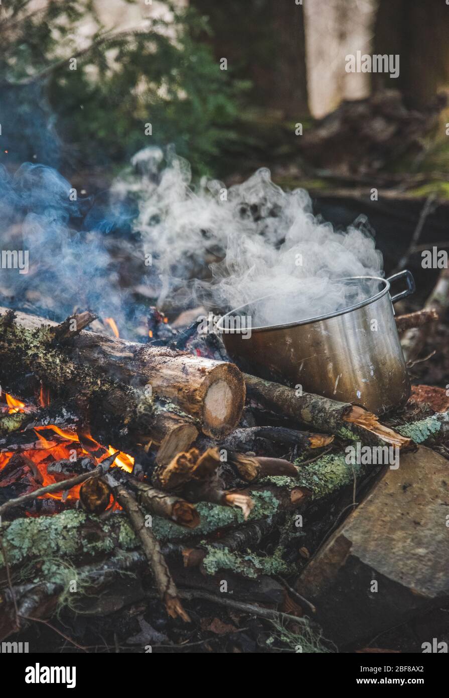 Camp fire and cooking pot Stock Photo