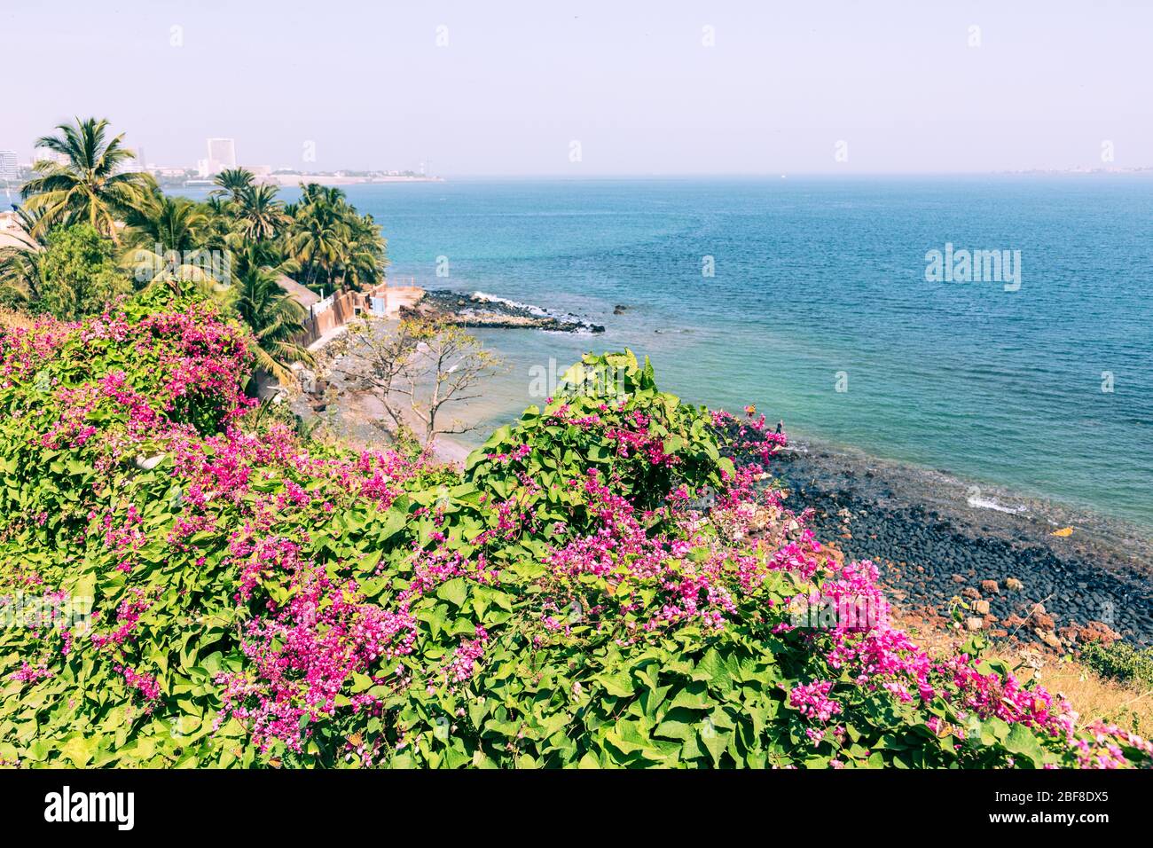 Dakar coastline, beach and vegetation. Dakar. Senegal. West Africa. Stock Photo