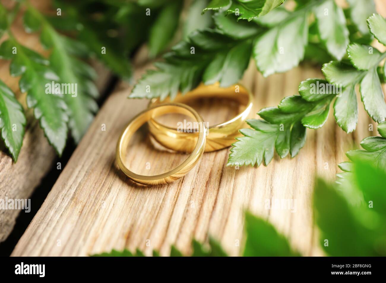 Wedding Ring Photography | 10 Tips and Creative Ideas for Better Photos -  Adorama