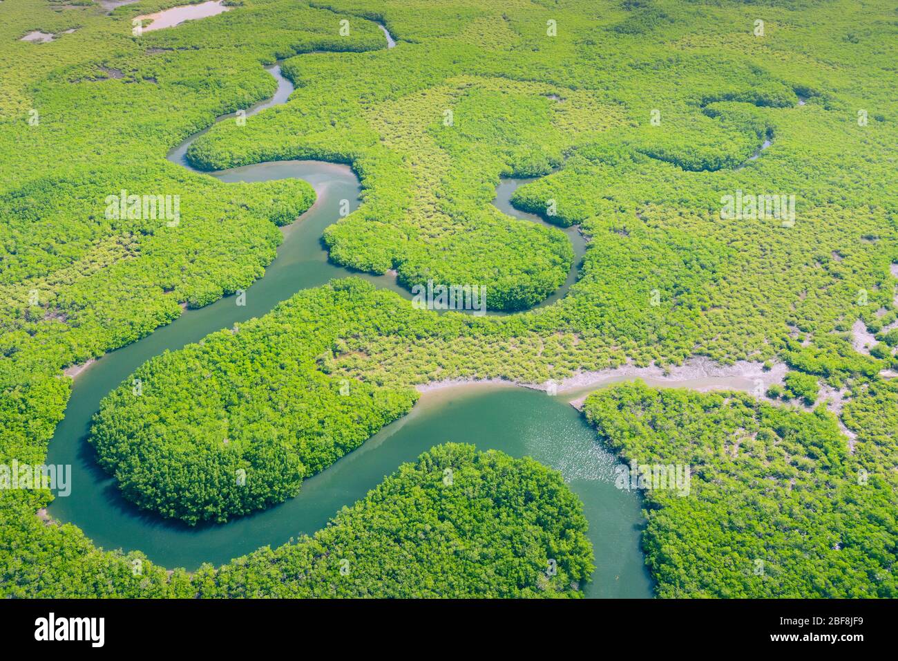 Aerial view of Amazon rainforest in Brazil, South America. Green forest. Bird's-eye view Stock 