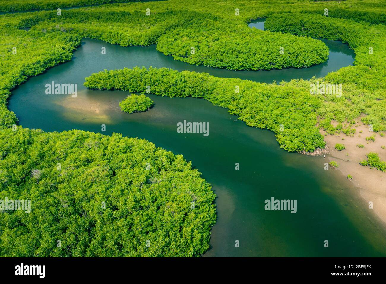 Aerial view of Amazon rainforest in Brazil, South America. Green forest. Bird's-eye view. Stock Photo