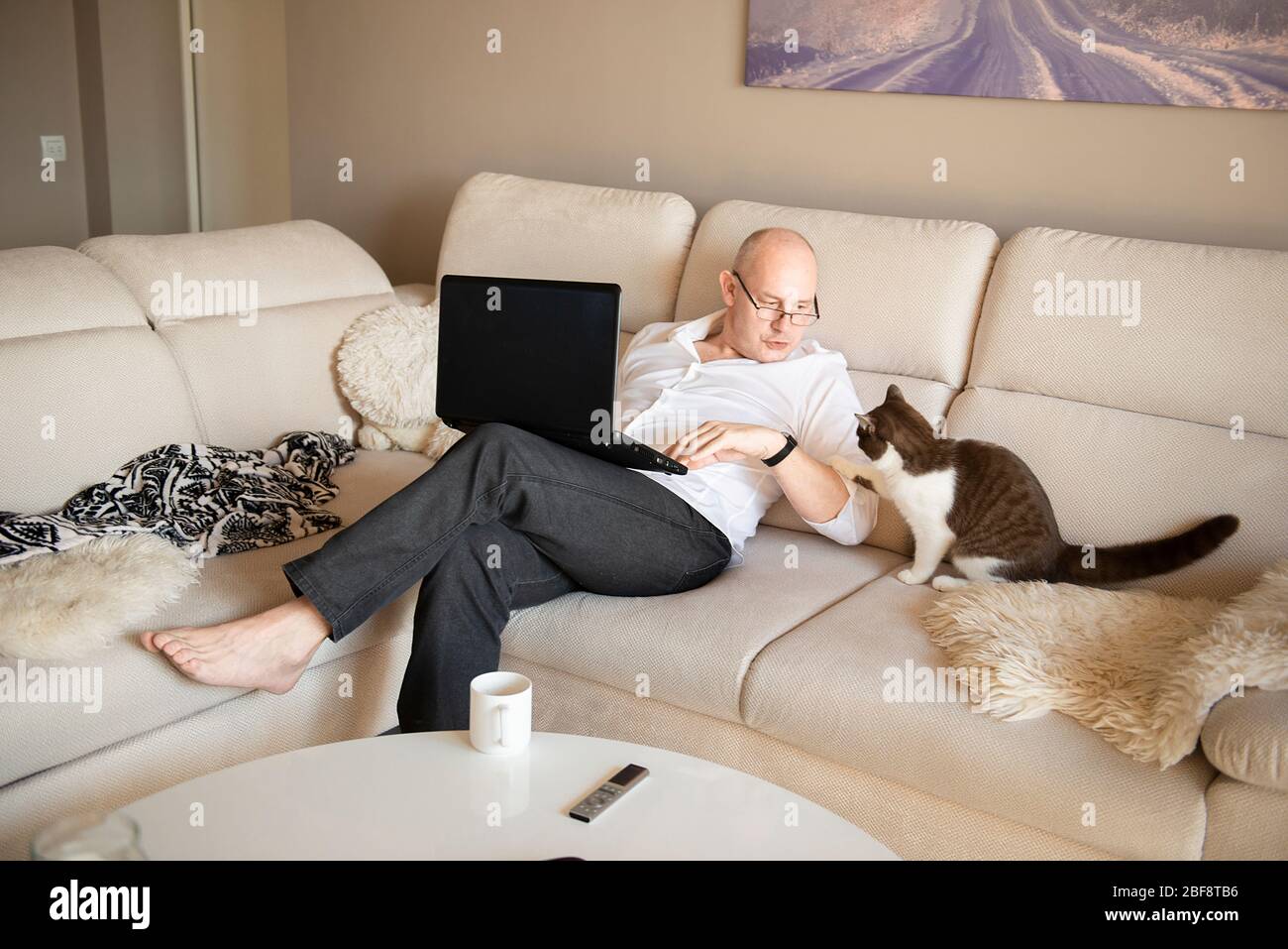 mature man using laptop and playing with cute cat on sofa at home during quarantine of coronavirus covid-19 Stock Photo