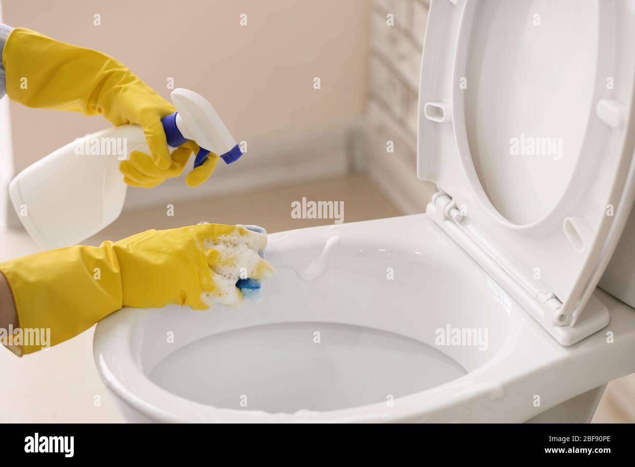 Woman cleaning toilet bowl in bathroom Stock Photo Alamy