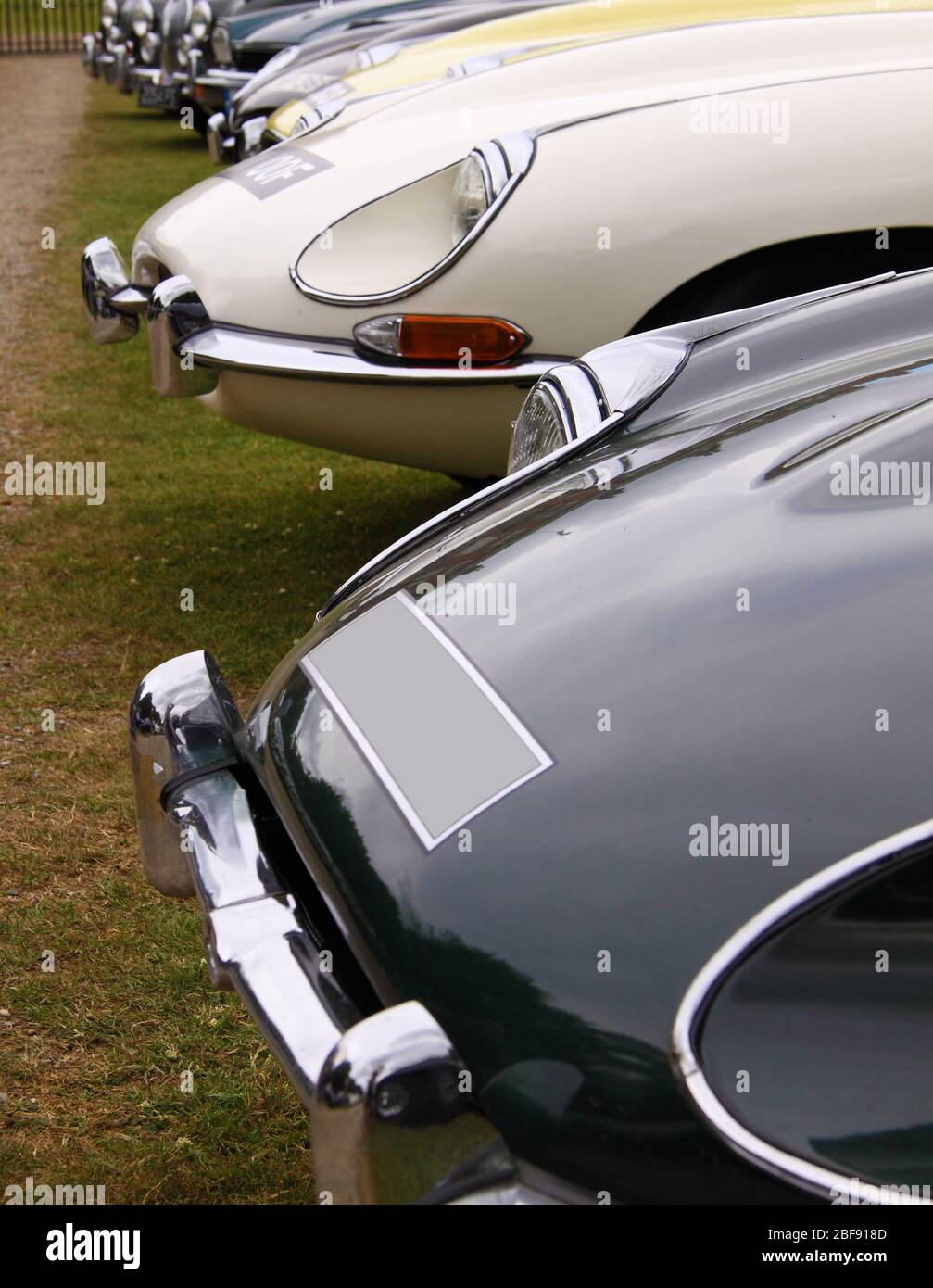 Front View Of Classic Jaguar Sports Cars Lined Up At A Classic Car Show Stock Photo Alamy