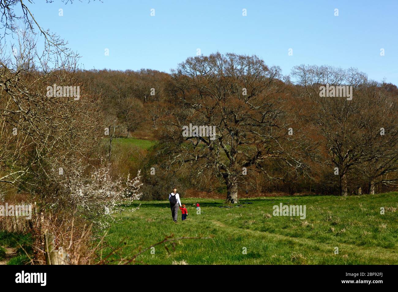 Mother and son walking across field on High Weald Walk footpath between Southborough and Tonbridge in early spring, Kent, England Stock Photo