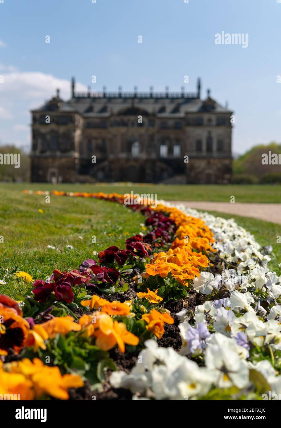 Palais Grosser Garten High Resolution Stock Photography and Images Alamy