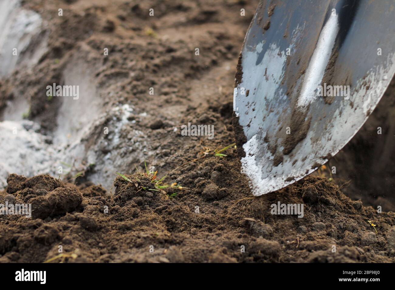 A man in blue jeans and laced moccasins digs the ground with a shovel ...