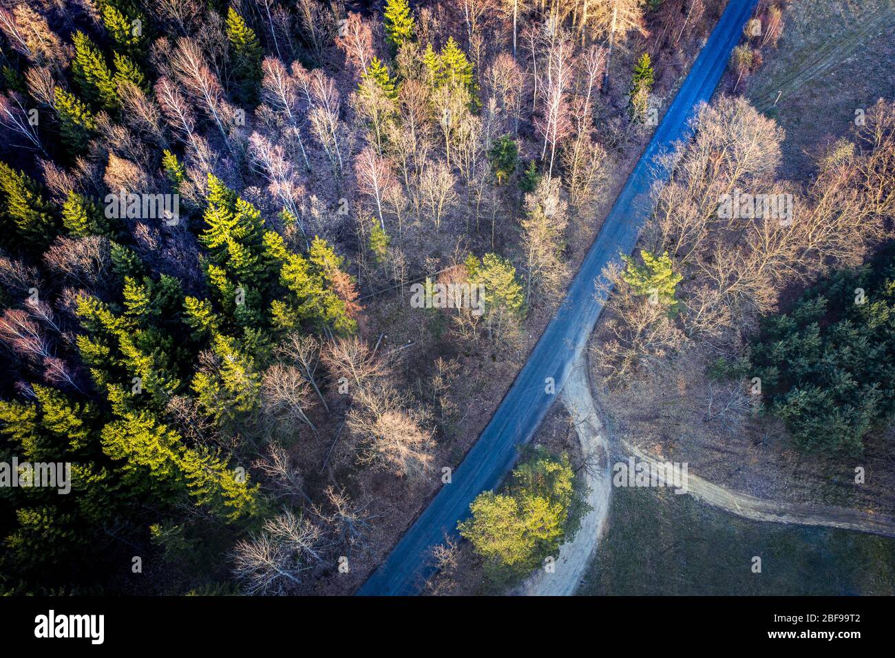 Aerial view - Road in tree and field area. Table mountains. Beautiful color - spring. Stock Photo