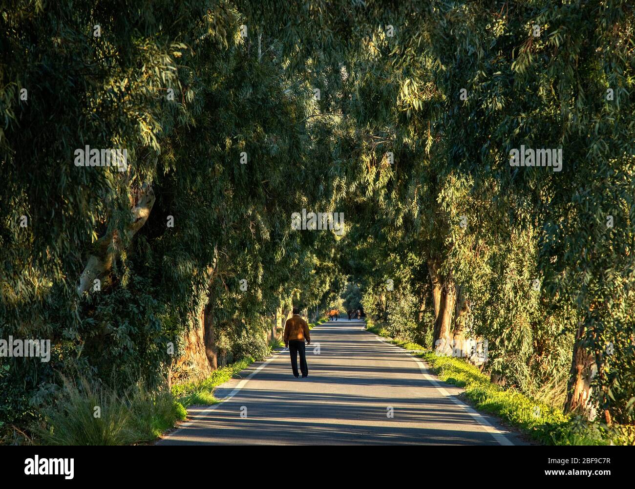 Man walking lonely road hi-res stock photography and images - Alamy