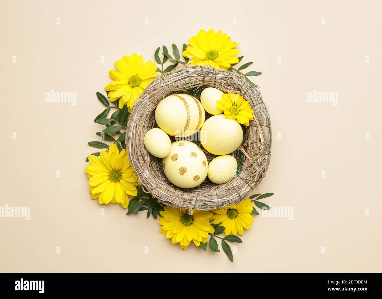 Nest with beautiful Easter eggs and flowers on color background Stock ...