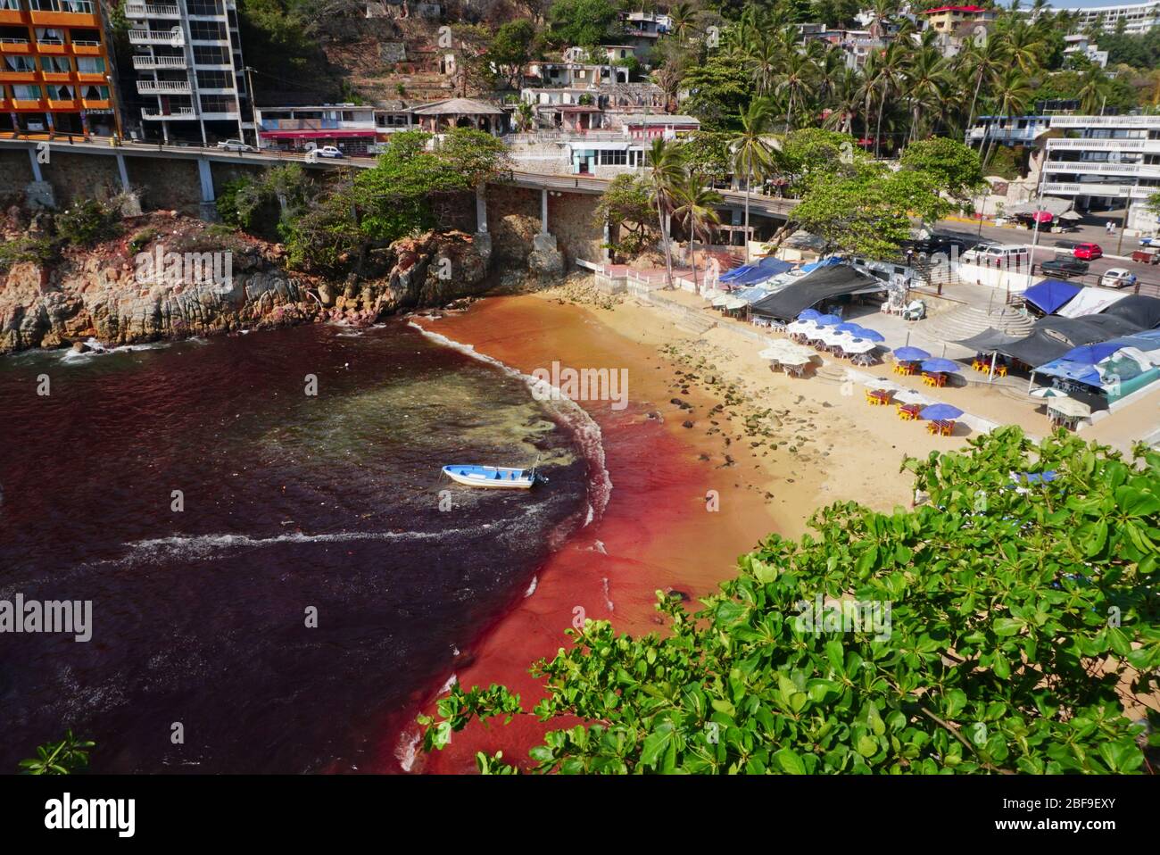 Red tide at Playa L'Angosta on the Pacific Ocean, Acapulco, Mexico. Stock Photo