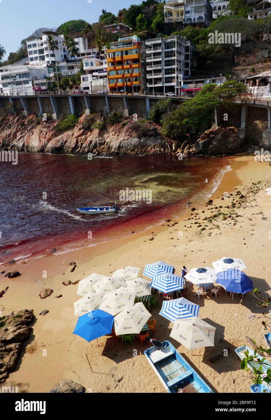 Red tide at Playa L'Angosta on the Pacific Ocean, Acapulco, Mexico. Stock Photo