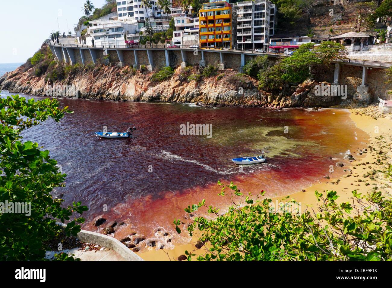 Red tide at Playa L'Angosta on the Pacific Ocean, Acapulco, Mexico. Stock Photo
