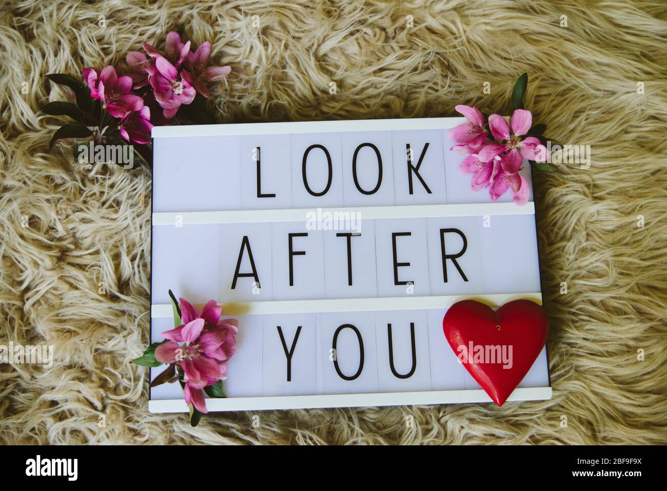 A lightbox with the words look after you, decorated with pink blossom and a red heart. Coronavirus covid 19 lockdown quarantine self isolation. Stock Photo