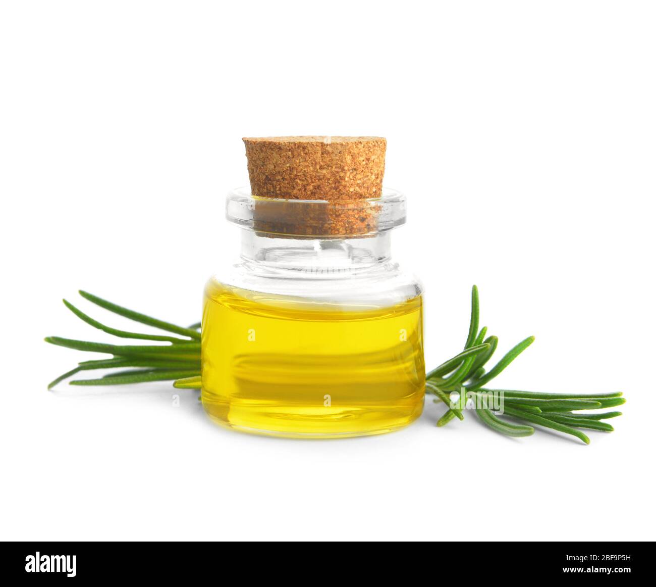 Exquisite Where Can I Buy Rosemary Oil Design Photography Exquisite Where Can I Buy Rosemary Oil Design Photography