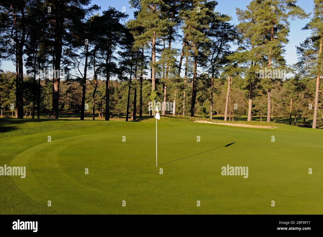 View of 2nd Green and Bunker, Camberley Heath Golf Club, Camberley