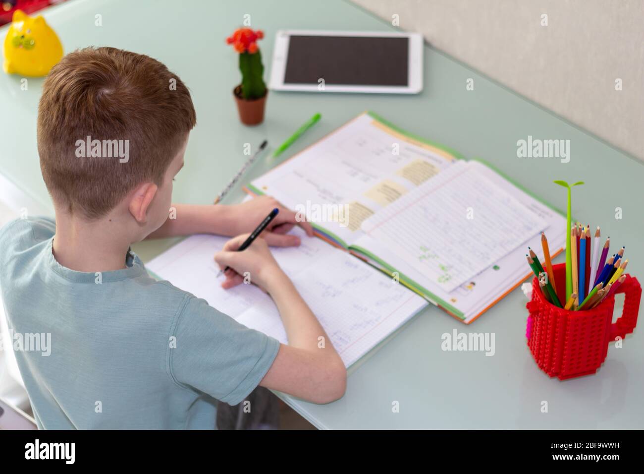 Study From School Distance learning online education. Schoolboy studying at home and ...