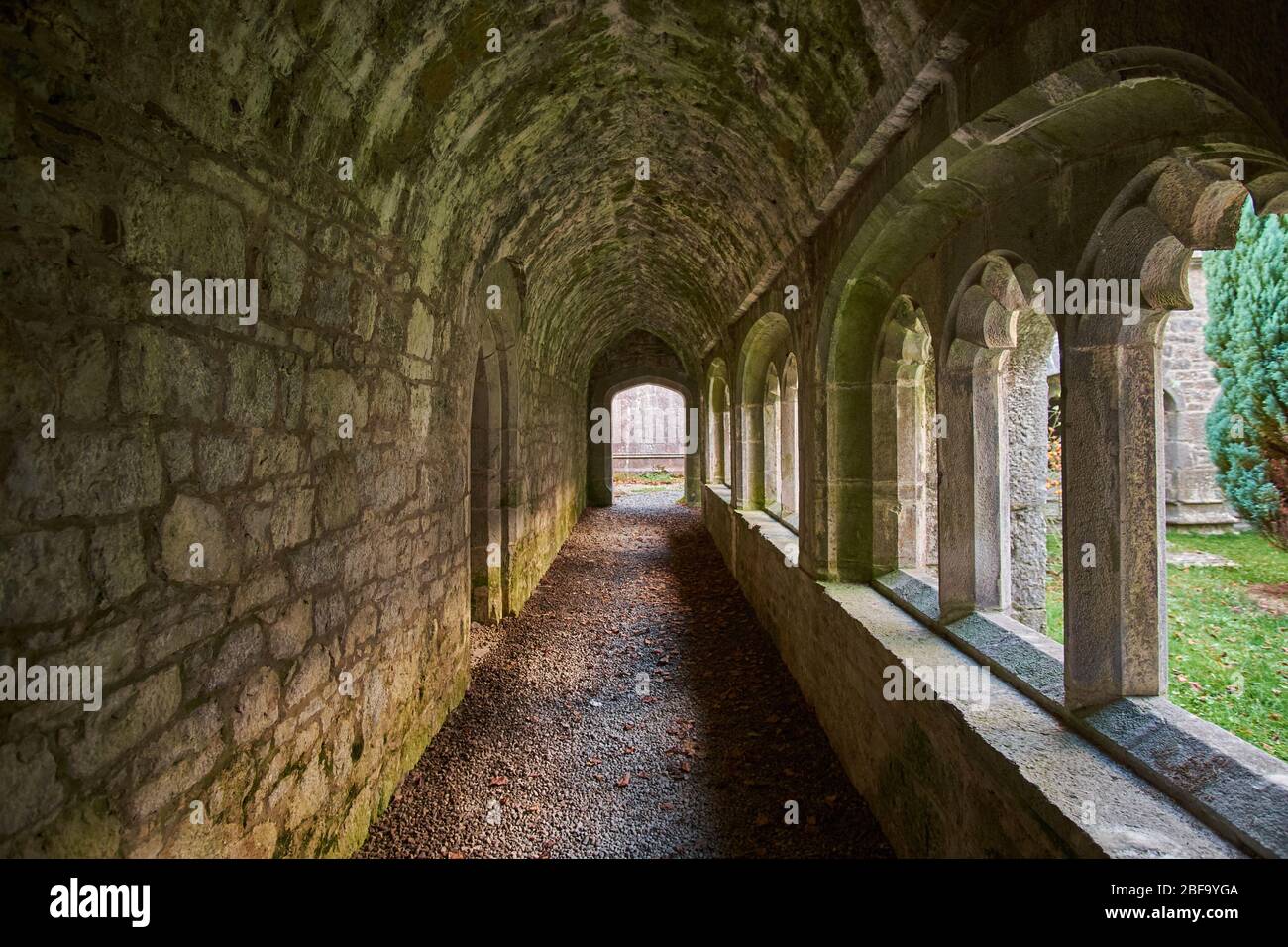 Inside cloister walk Old Augustinian Friary East of Adare, Ireland with windows to courtyard on right Gortaganniv, Gortaganniff, Co. Clare Stock Photo