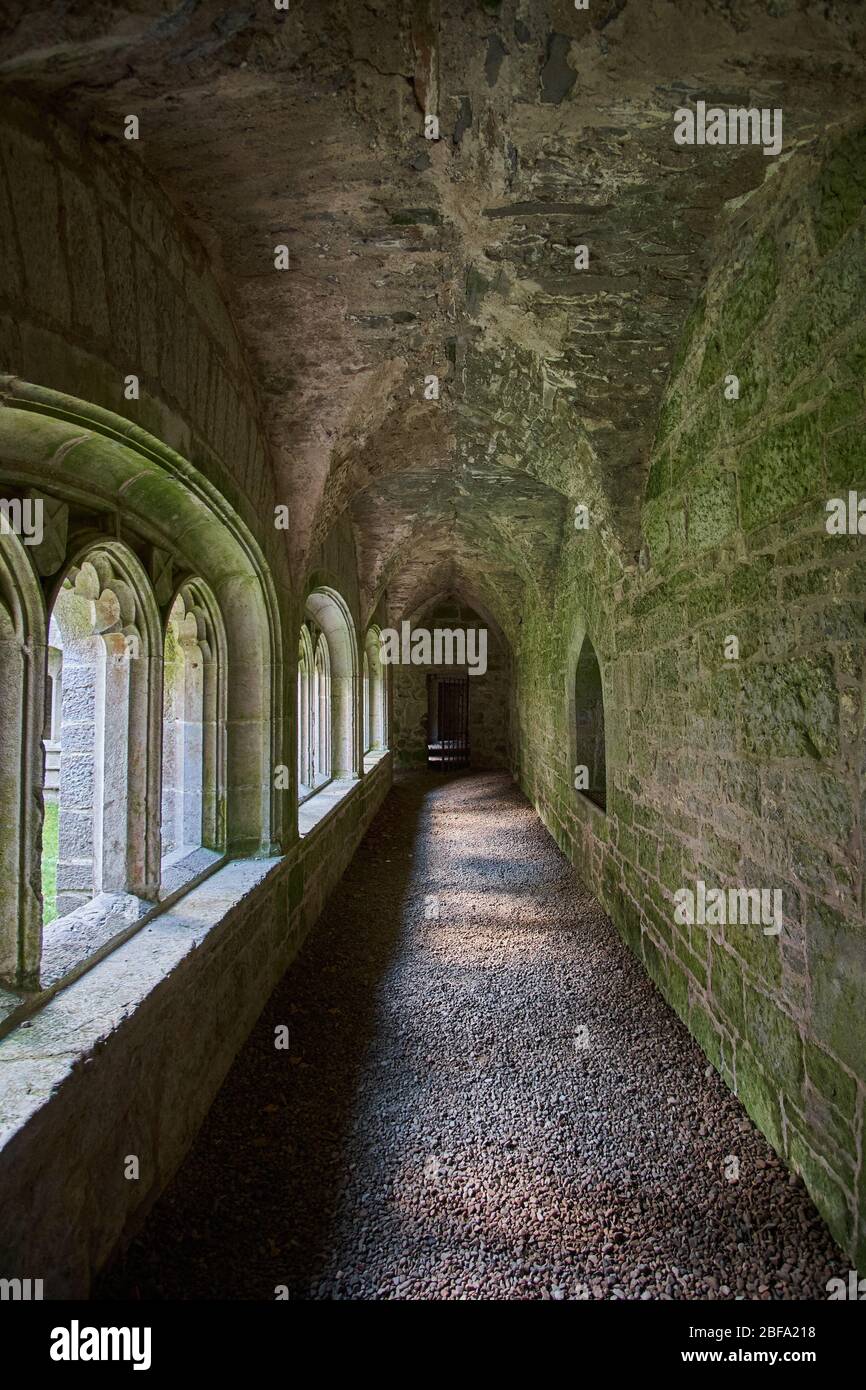 Inside cloister walk Old Augustinian Friary East of Adare, Ireland with windows to courtyard on left Stock Photo