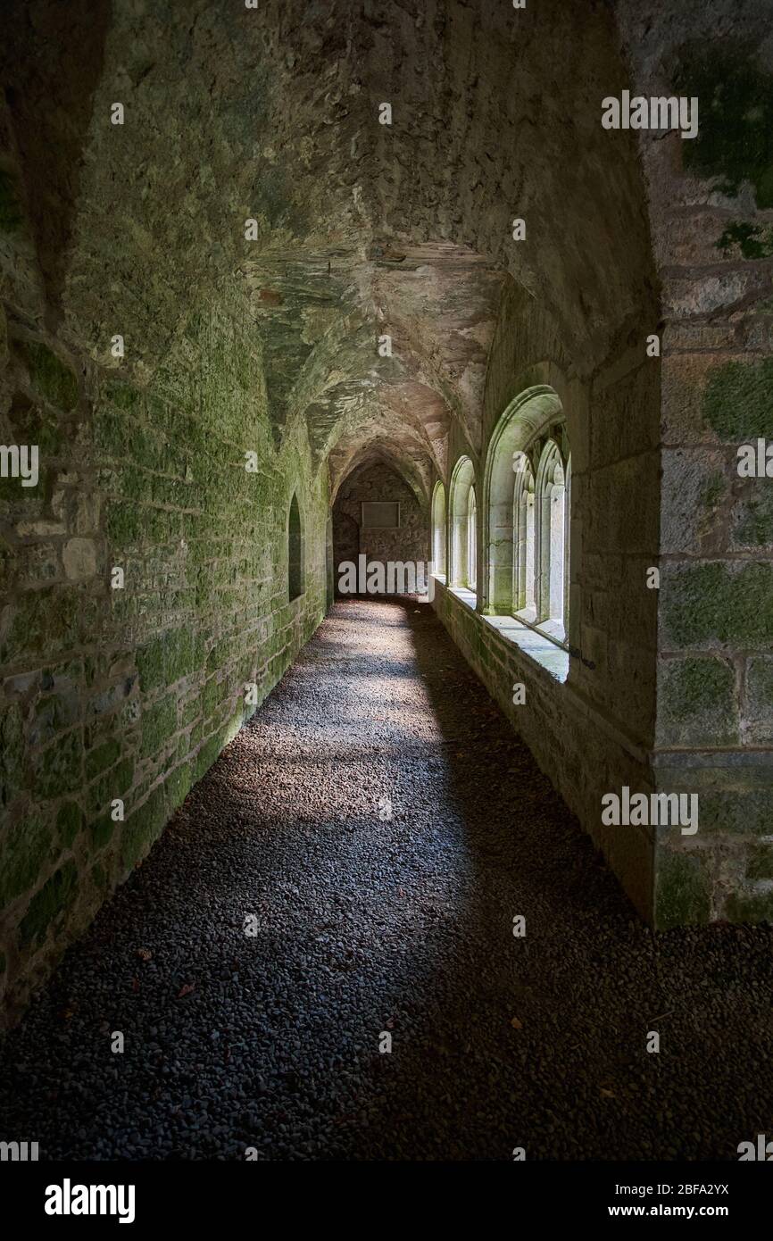 Inside cloister walk Old Augustinian Friary East of Adare, Ireland with windows to courtyard on right Stock Photo