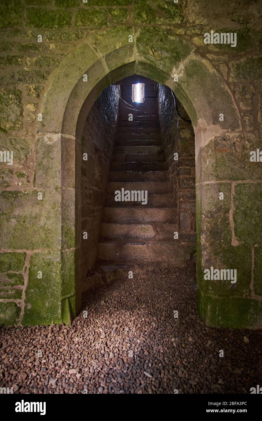 Inside cloister walk Old Augustinian Friary East of Adare, Ireland Stock Photo