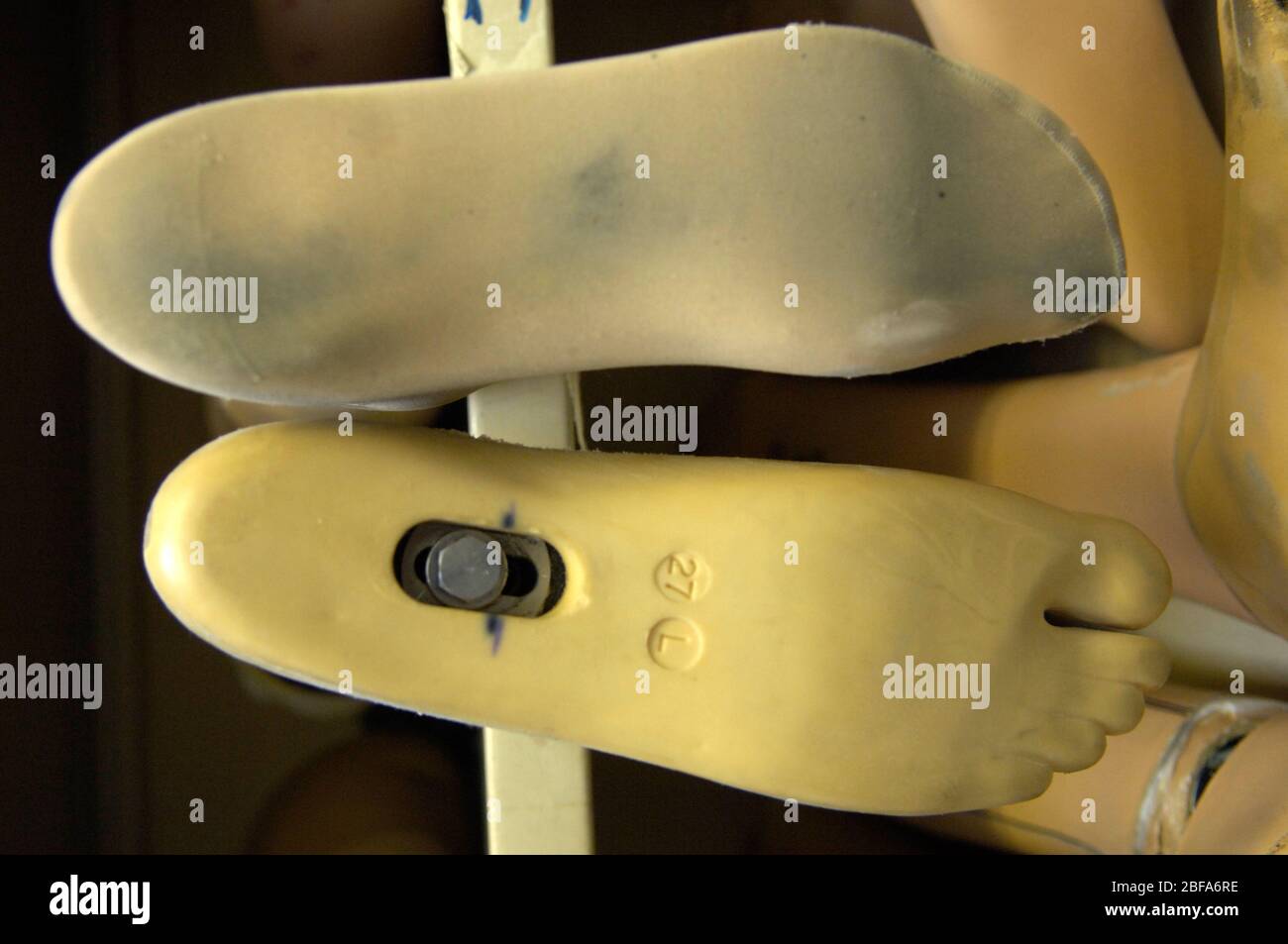 Two prosthetic foot templates used for the creation of new limbs Stock ...
