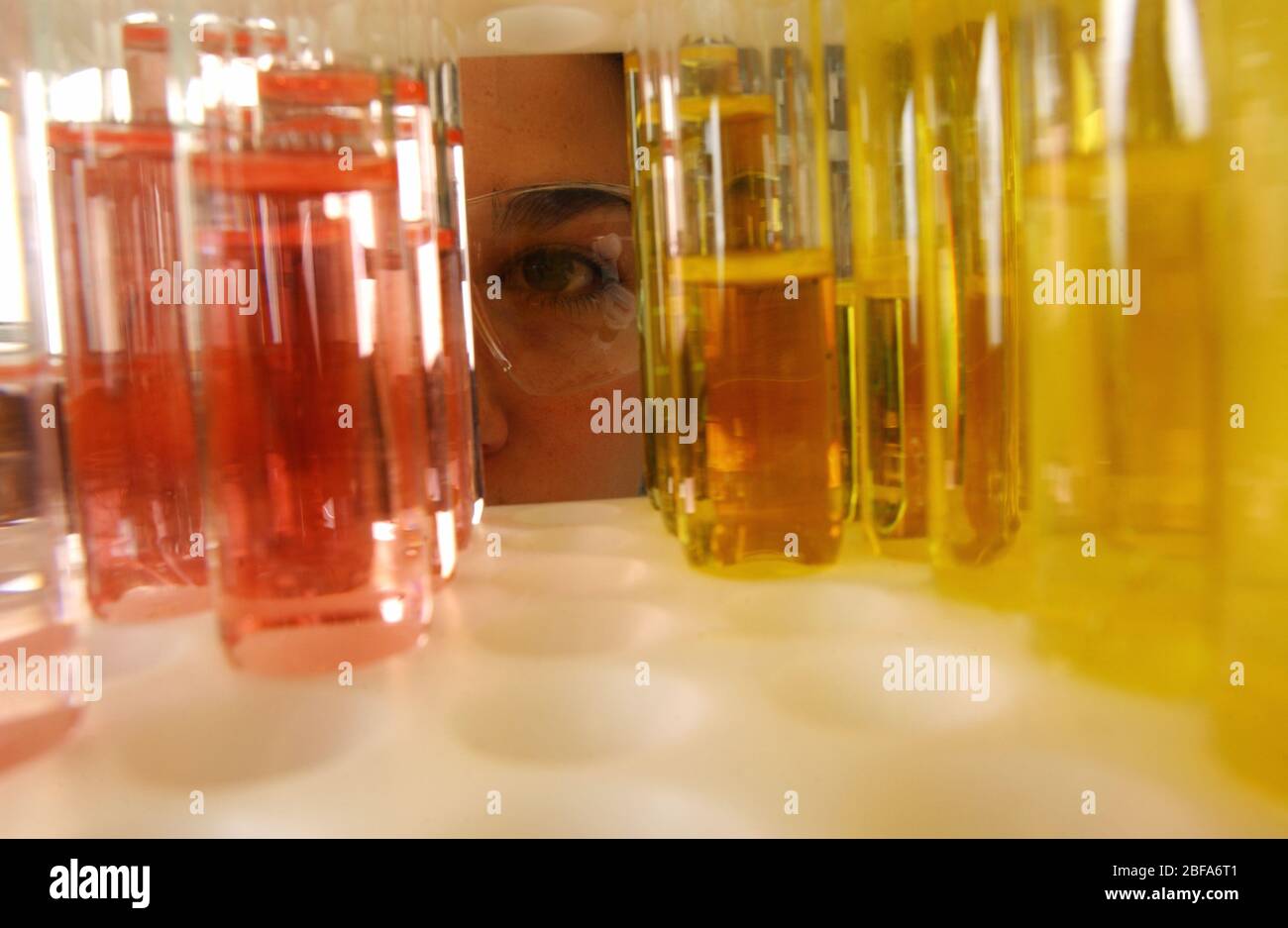 A laboratory assistant analyses test tube samples Stock Photo