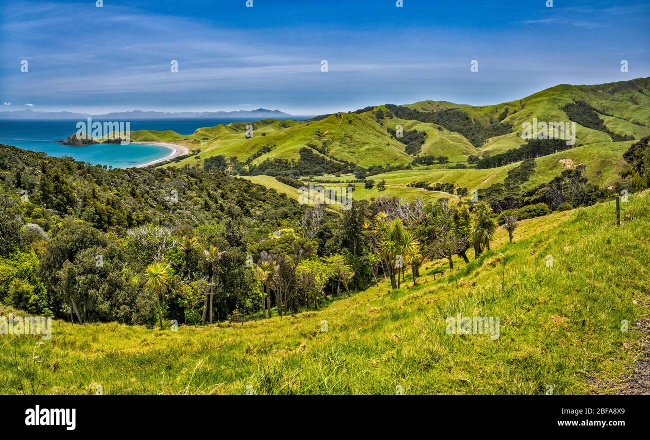 Moehau Range hills, Port Jackson area on left,  Great Barrier Island in distance, Coromandel Peninsula, Waikato Region, North Island, New Zealand Stock Photo