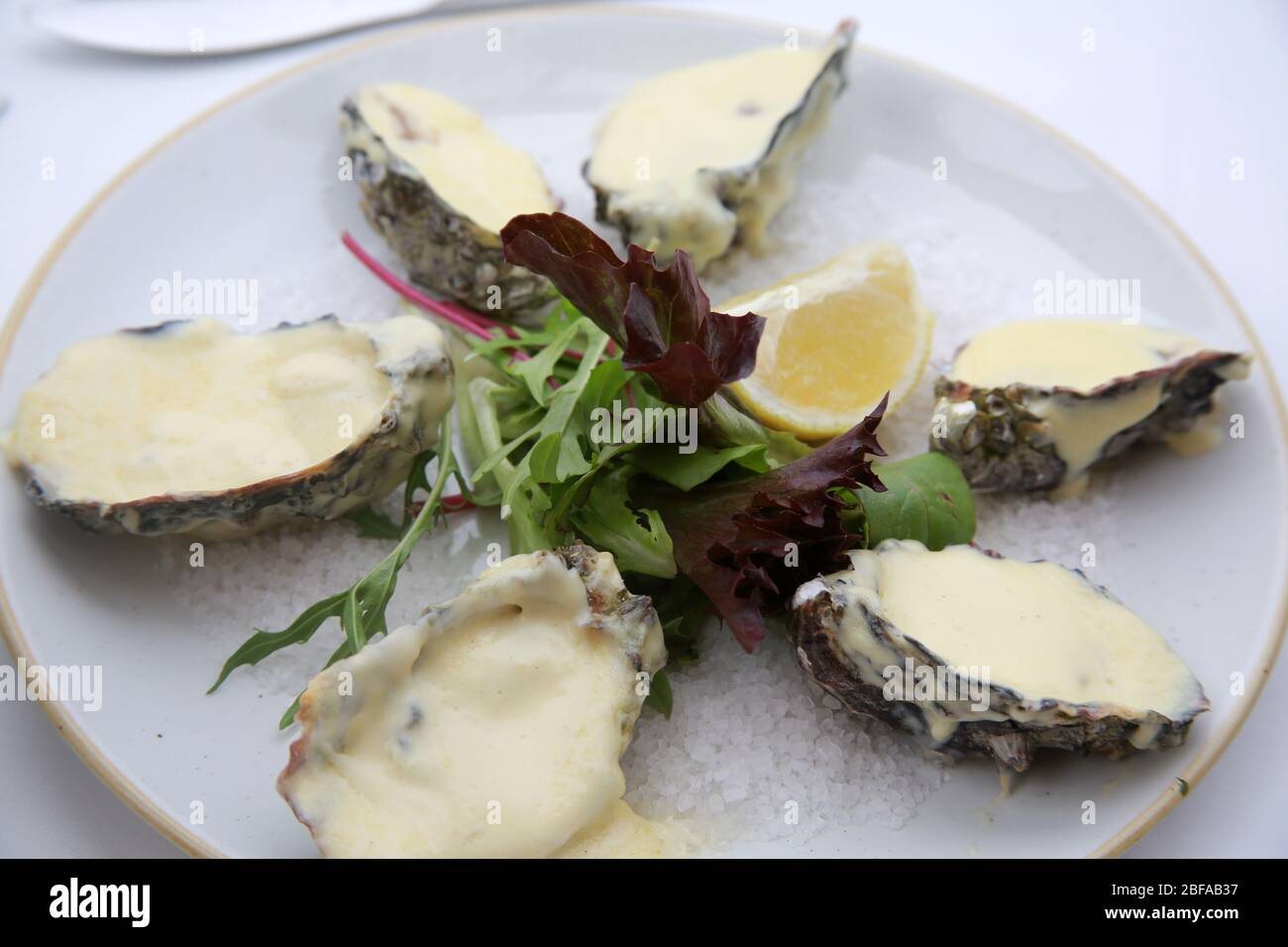 Oysters with Mornay sauce Stock Photo Alamy