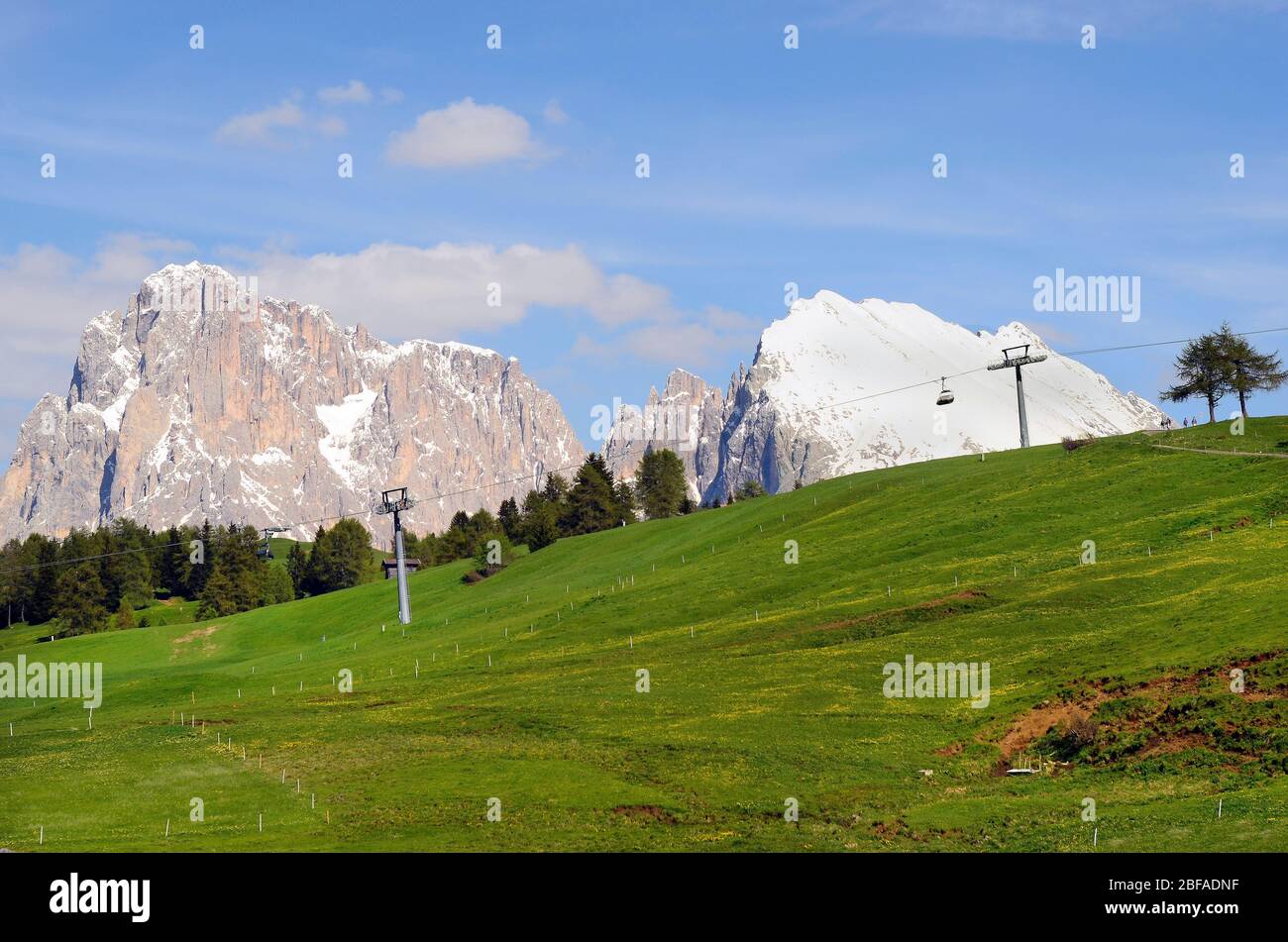 Italy, South Tyrol, Alpe di Suisi, Stock Photo