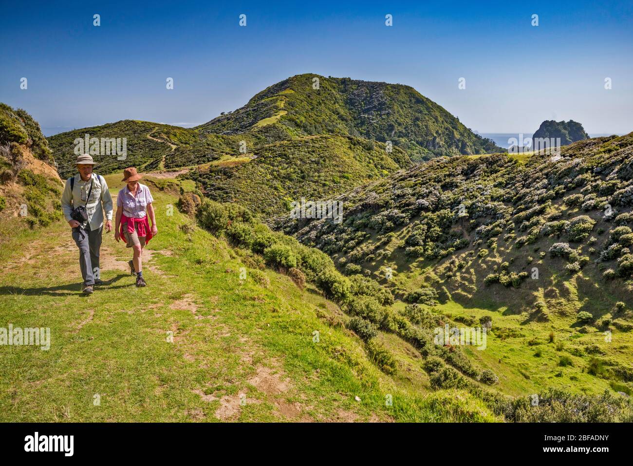 Two senior hikers on Coromandel Walkway, near cape Colville, Coromandel
