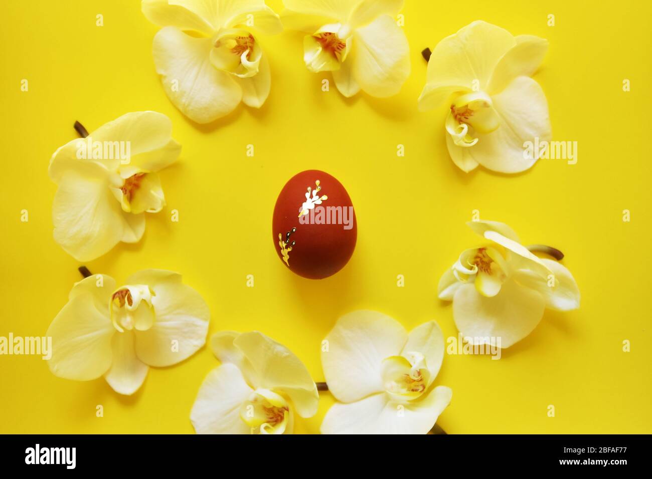 Easter red egg surrounded by orchid flowers on a yellow background. Stock Photo