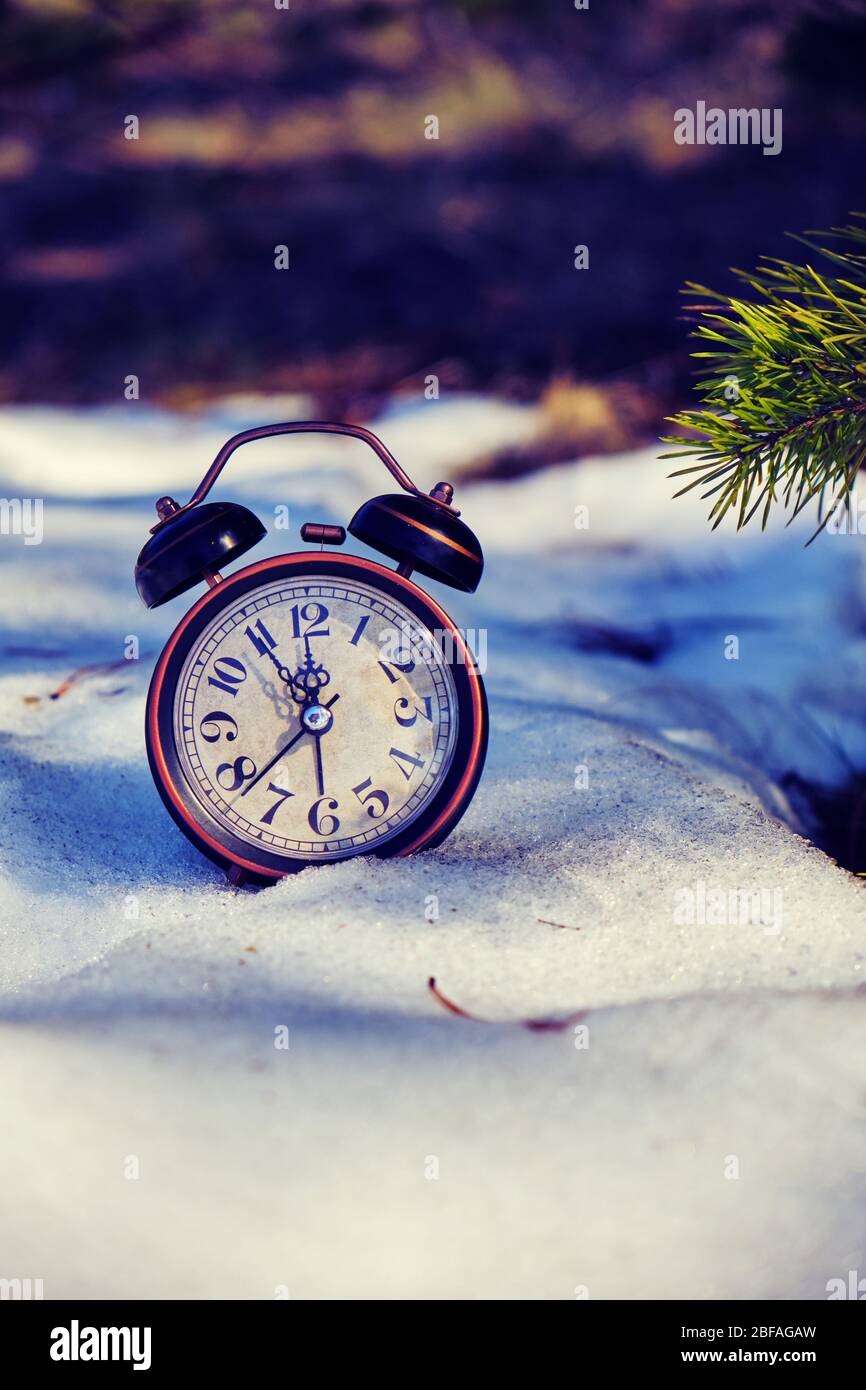 Old retro alarm clock in the snow in the forest with Sunny bunnies