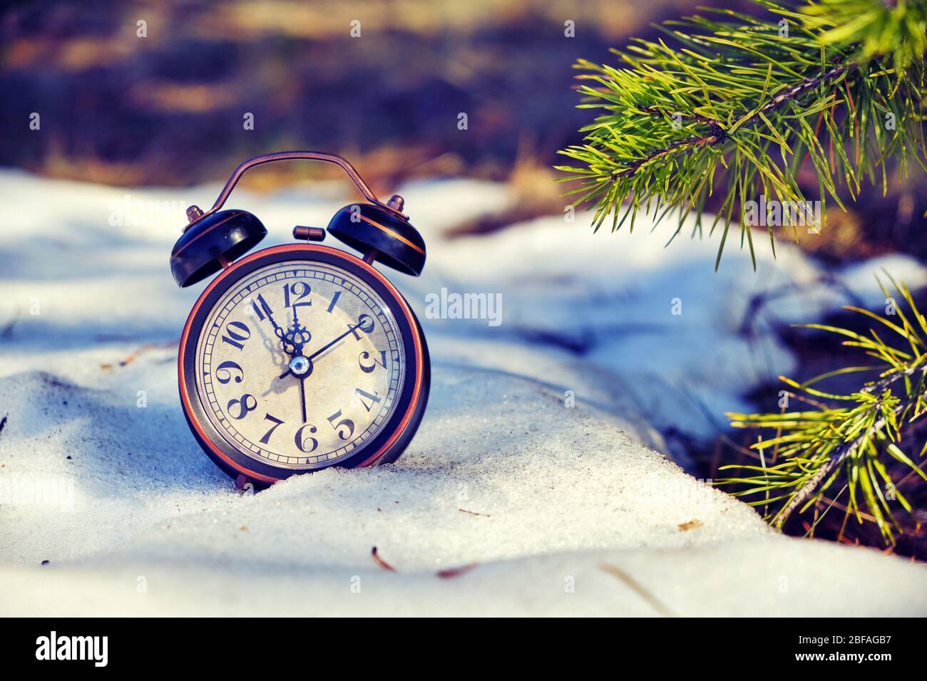 Old retro alarm clock in the snow in the forest with Sunny bunnies