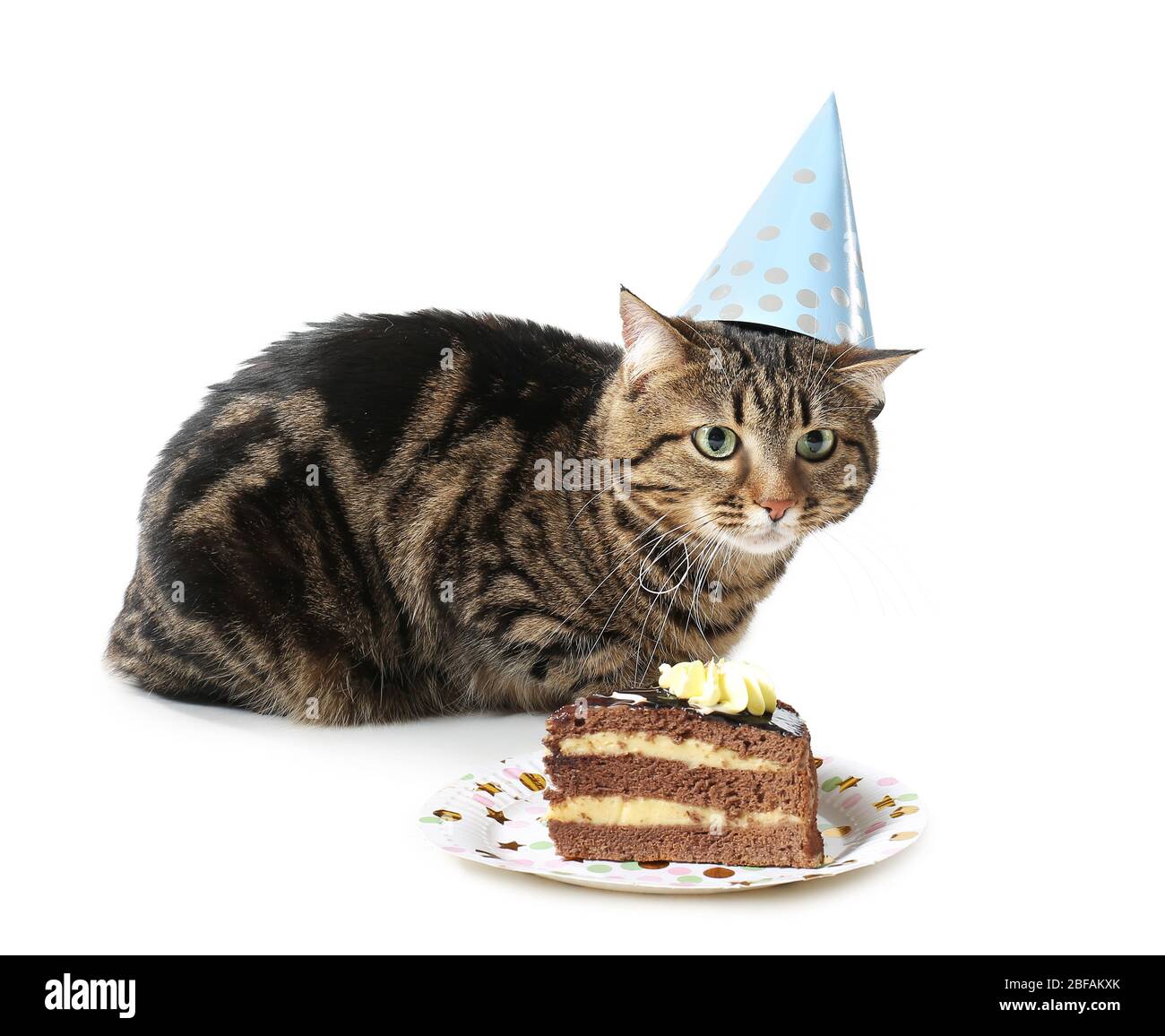 Cute cat in party hat and with Birthday cake on white background Stock Photo