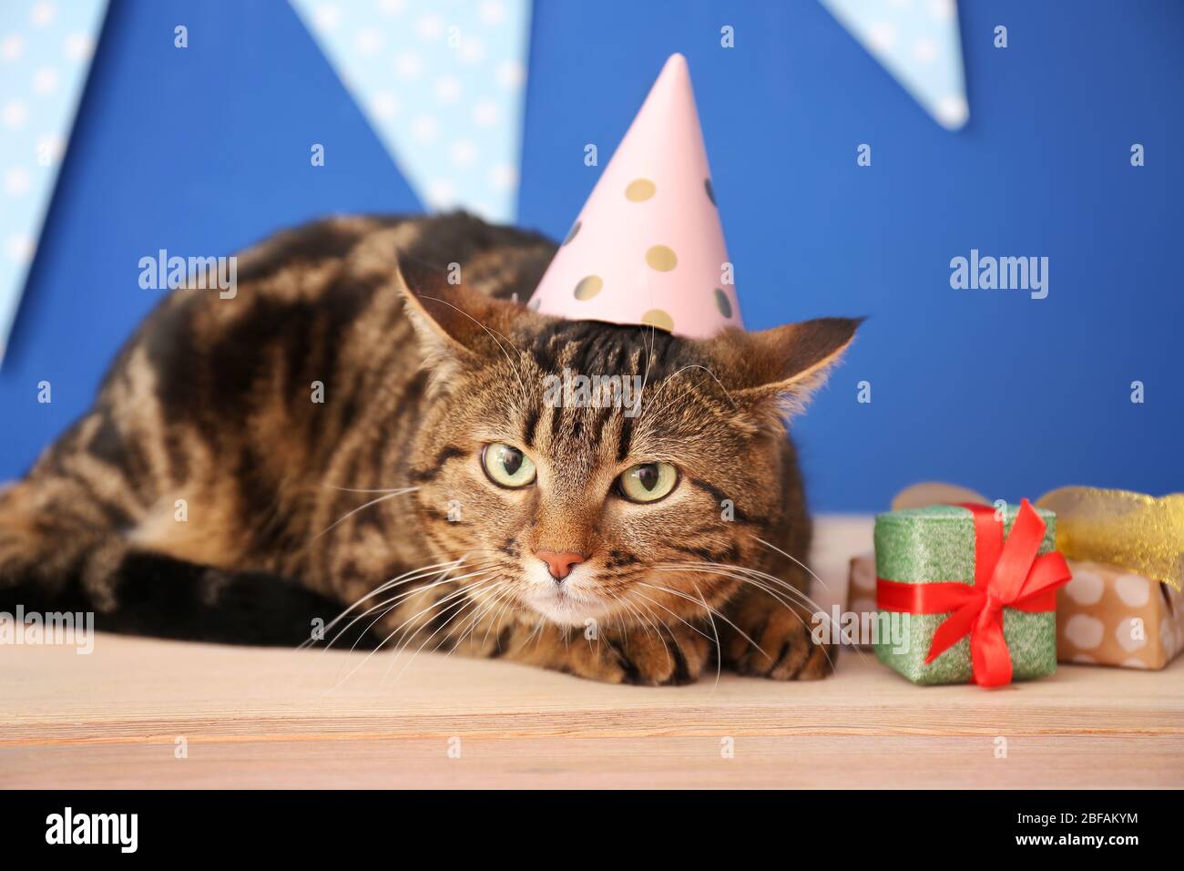 Cute cat in party hat and with Birthday gifts near color wall Stock Photo